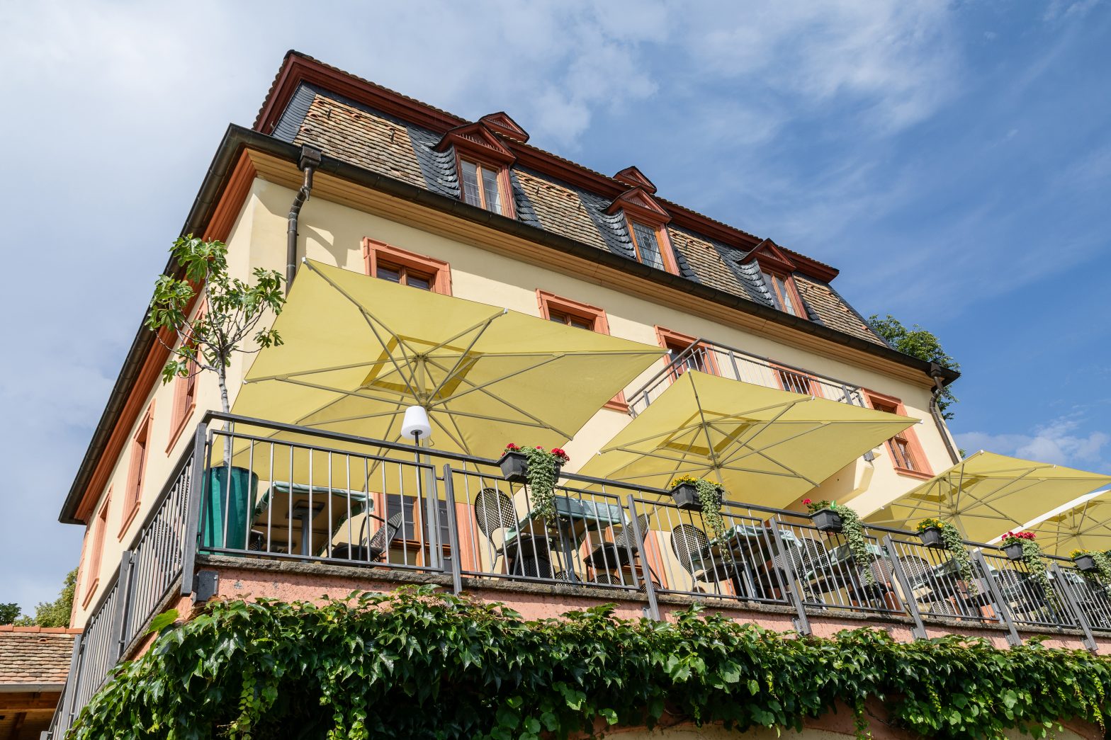 Gasthaus Kollektur